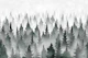Mystical Pine Forest green