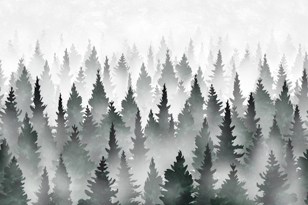Mystical Pine Forest green