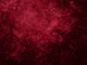 Burgundy Bliss