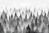 Mystical Pine Forest black tapet