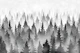 Mystical Pine Forest black