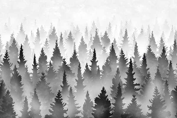 Mystical Pine Forest black