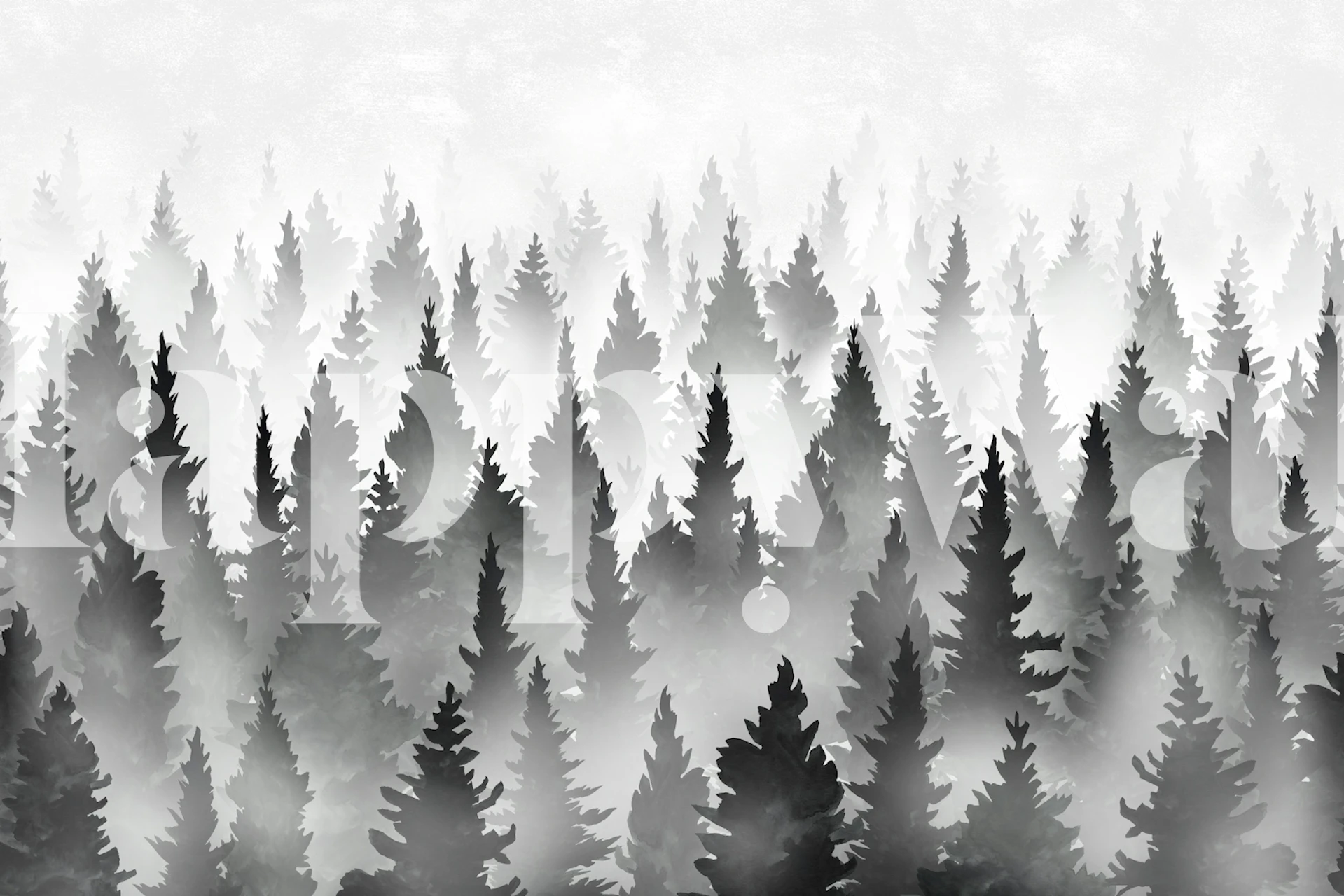 Dense black pine forest silhouette against gray misty background wallpaper