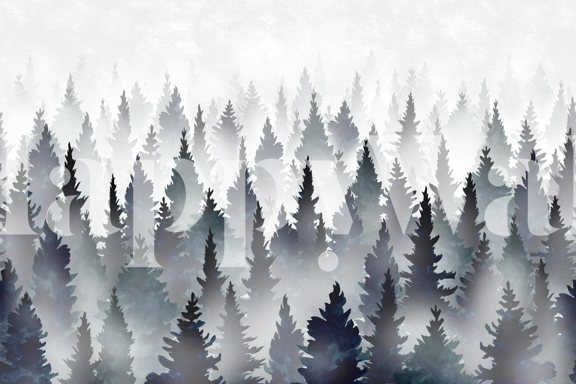 Pine trees in shades of blue and gray in a misty forest wallpaper