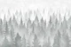 Mystical Forest Silhouette