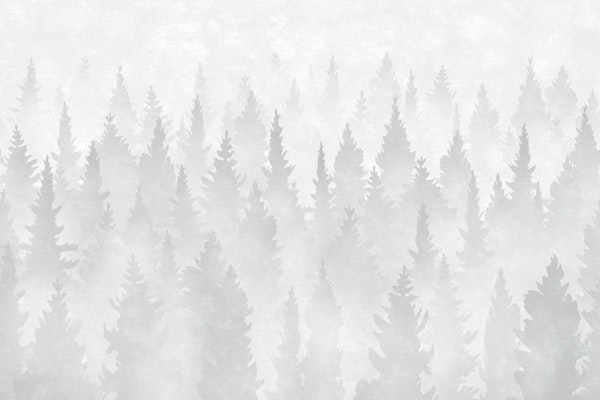 Whispering Pines Forest