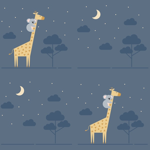 Koala Giraffe Night Safari