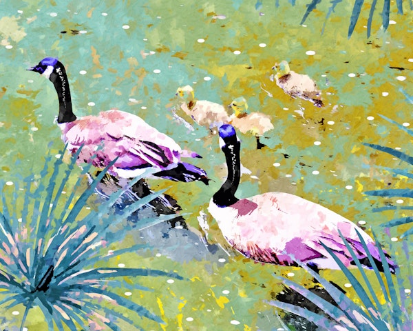 Ducks In The Moonlit Pond