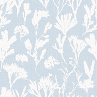 coastal kelp - light blue grey tapete