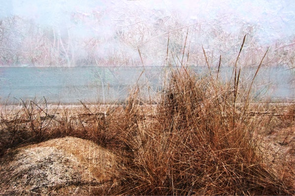 Coastal Breeze Serenity