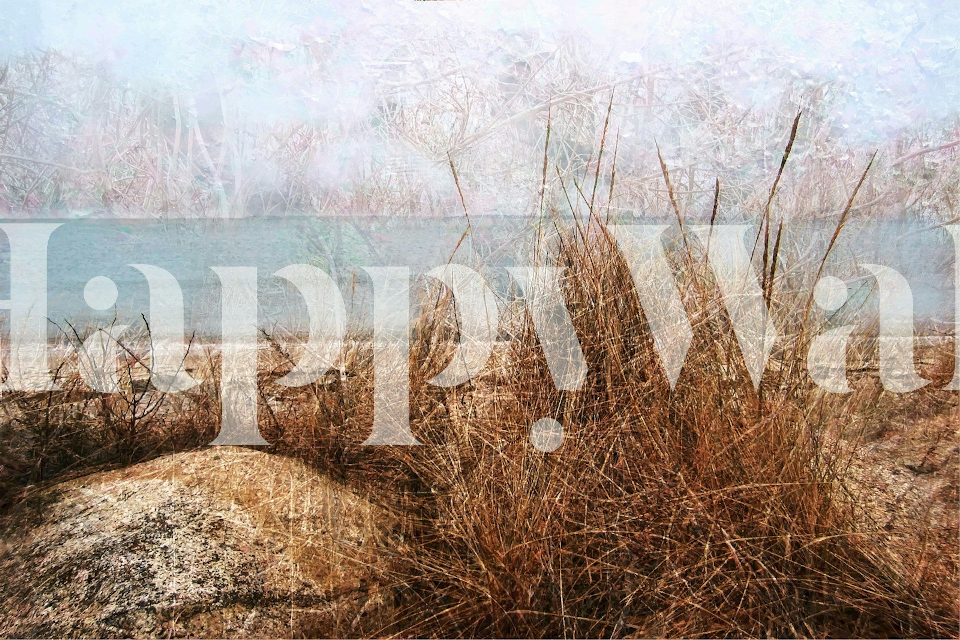 Design de papier peint Coastal avec de l'herbe de plage