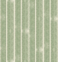 Sage Green Paint Stripes Drawn Lines tapet
