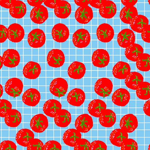 Tomato Grid Bliss
