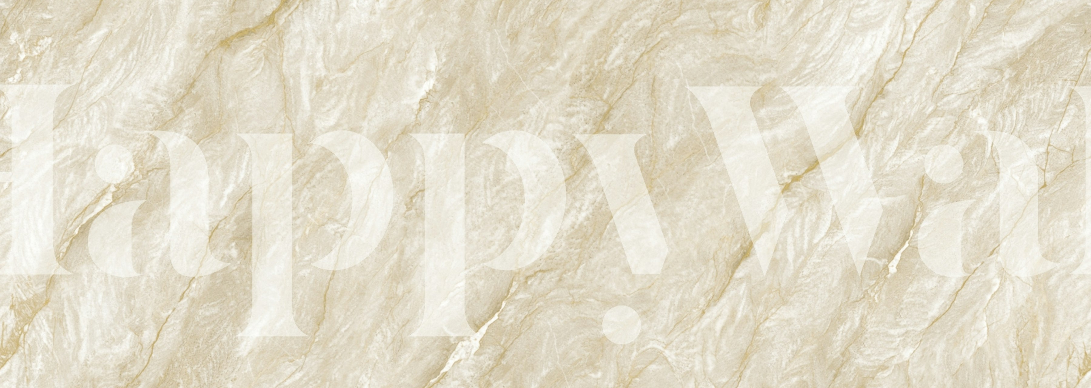 Classic Marble Aesthetic wallpaper in a room