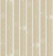 Sand Beige Paint Stripes Drawn Lines