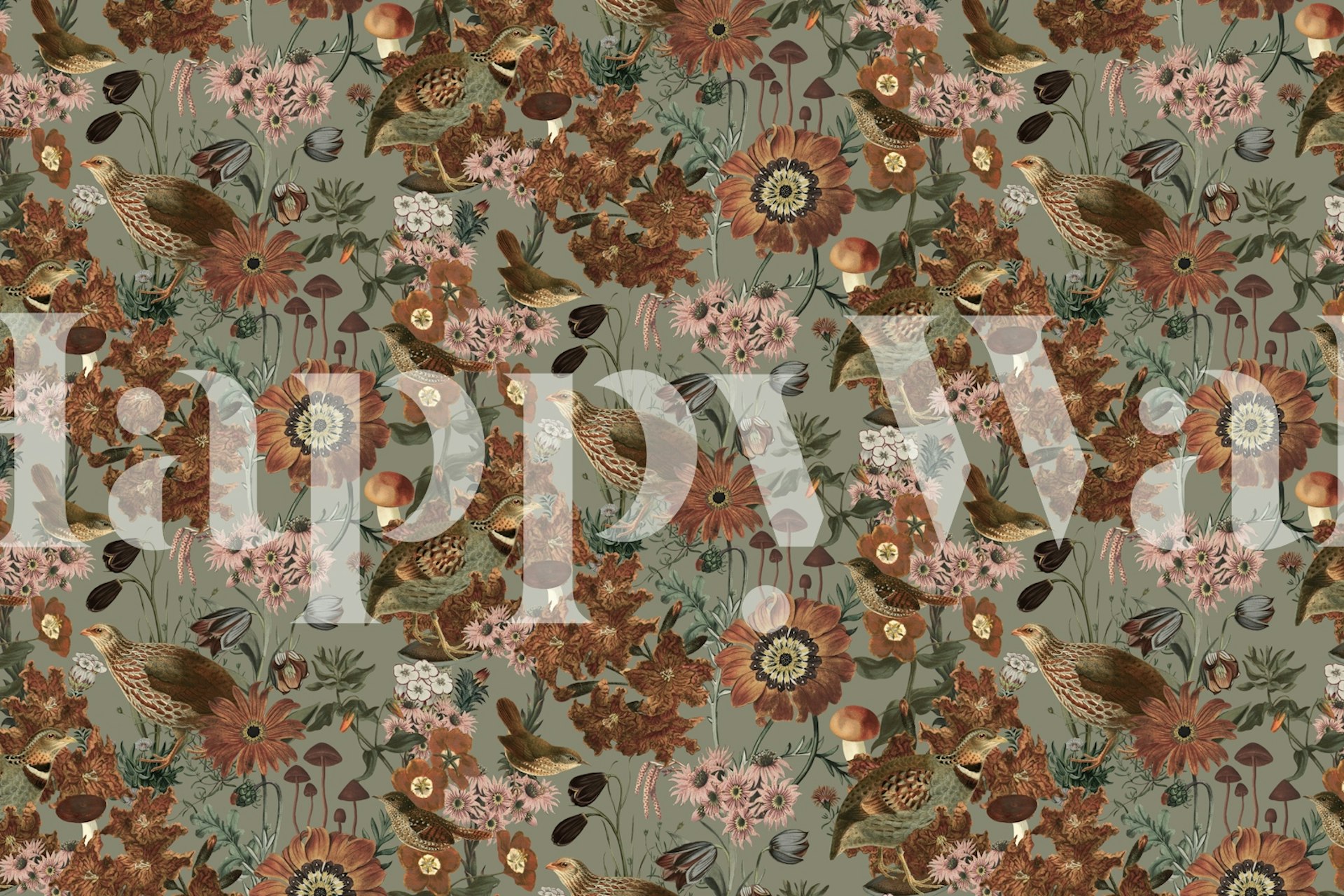 Wildflower Whimsy tapet i ett rum