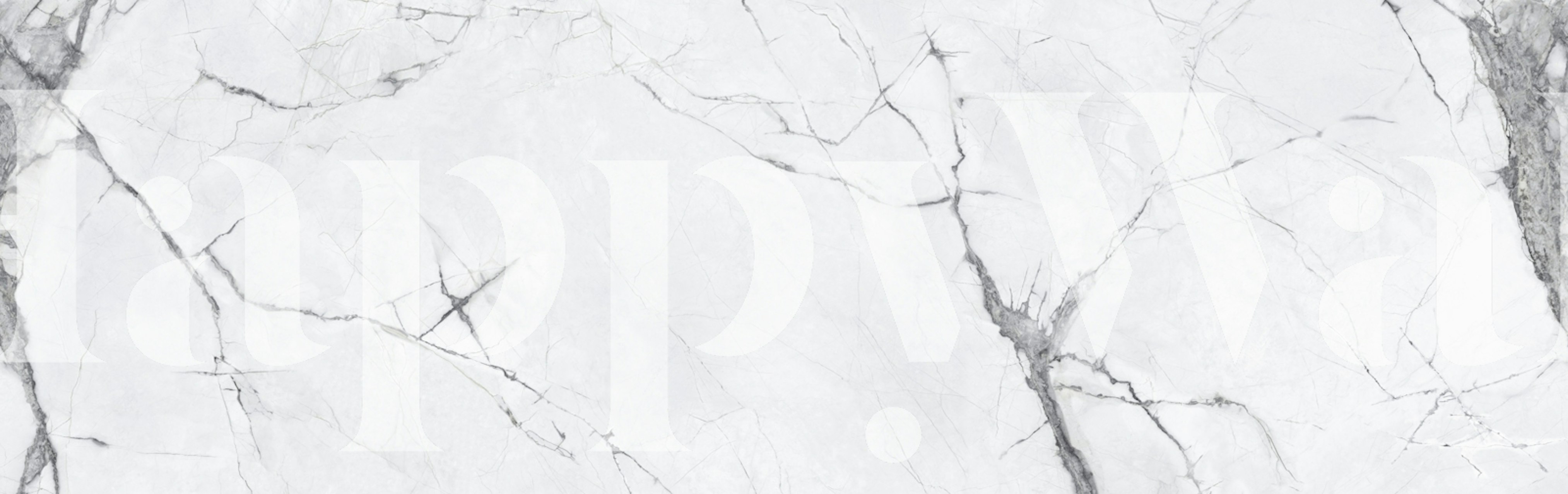 Statuario Grey Vein Marble tapete