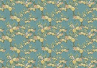 Quinces and Woodpeckers in Colour Pencil tapete