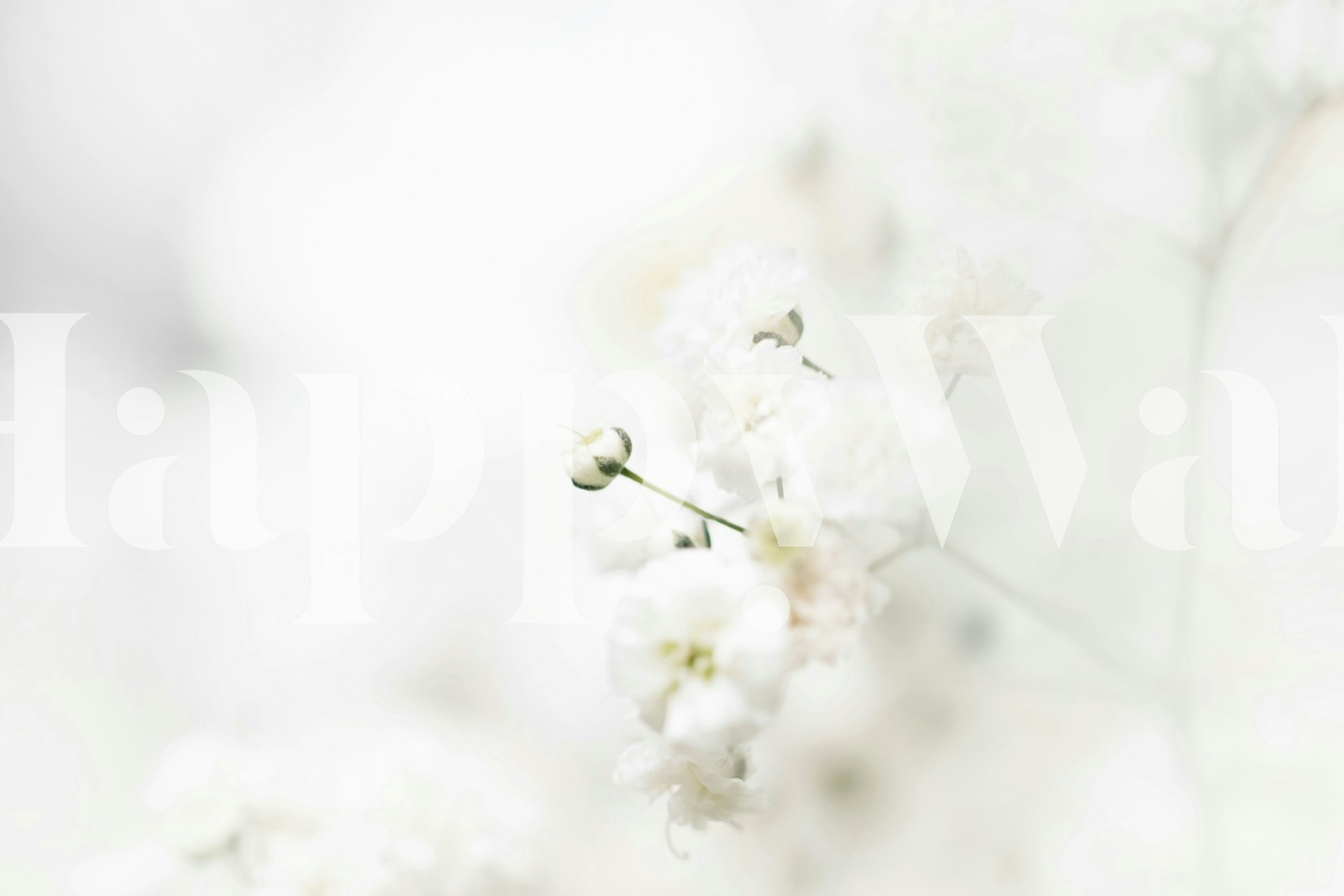 Floral wallpaper design in a bright room