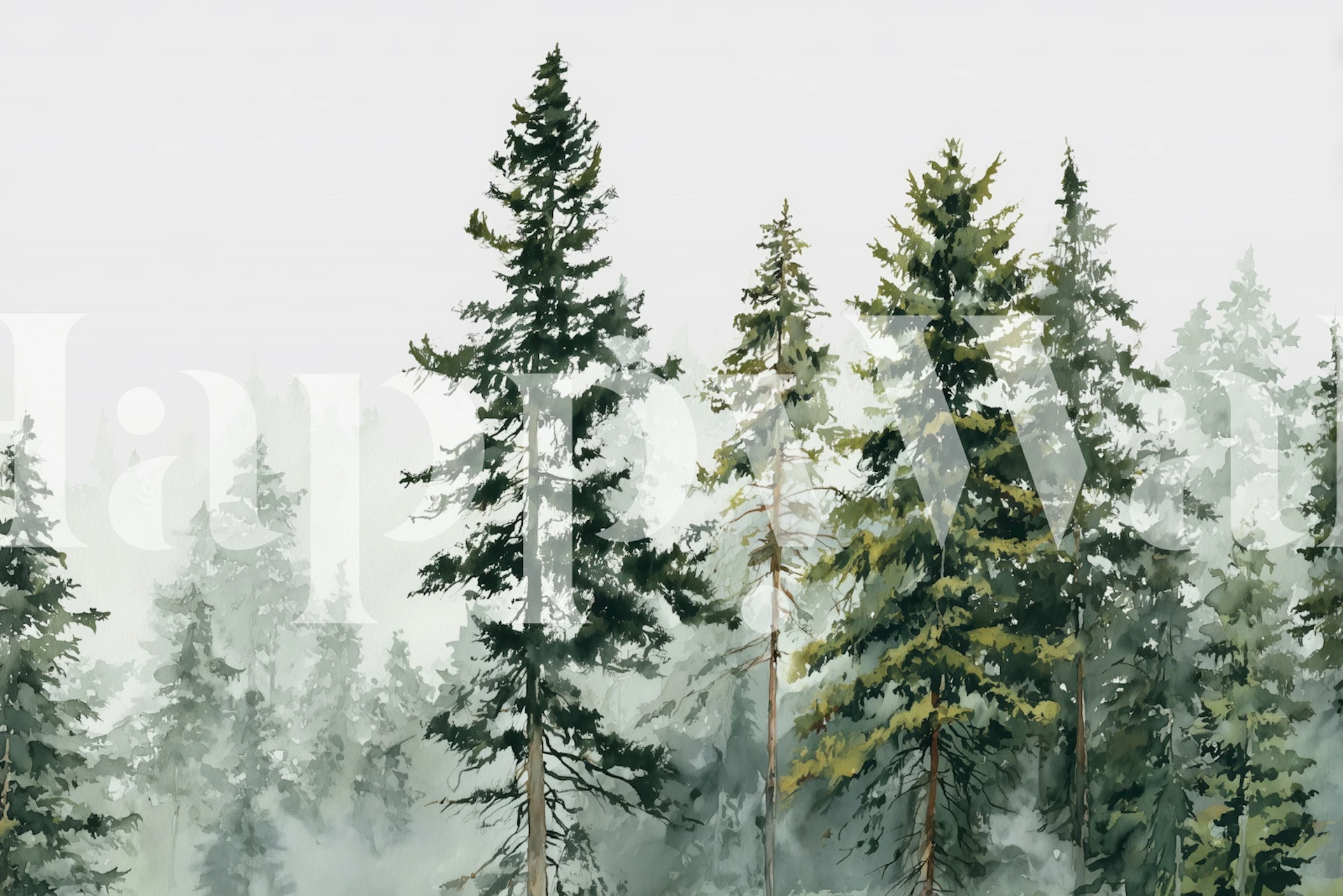 Serene Forest Mist wallpaper display in a room