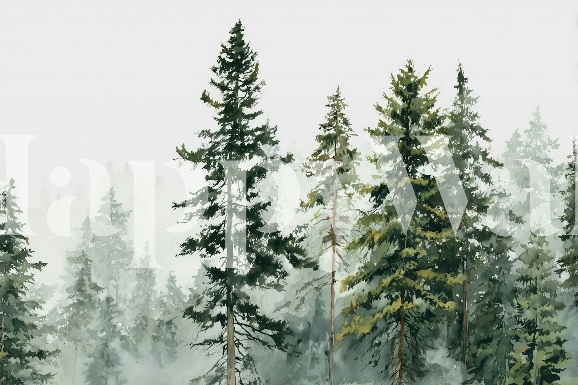 Serene Forest Mist wallpaper display in a room