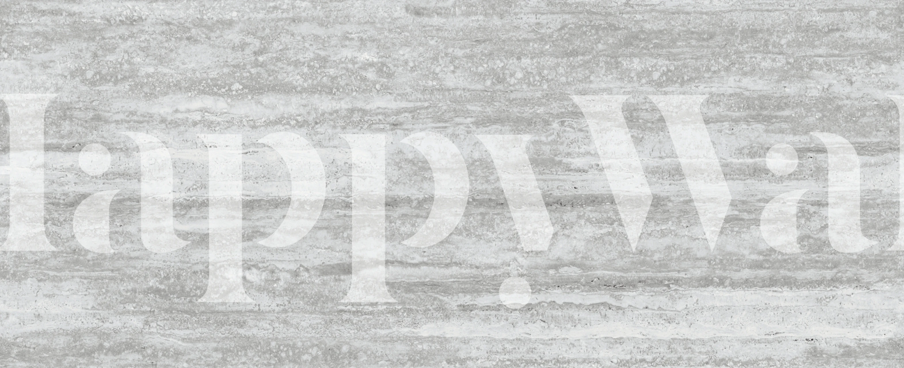 Silver Ash Travertine Marble Stone-tapet i ett rum