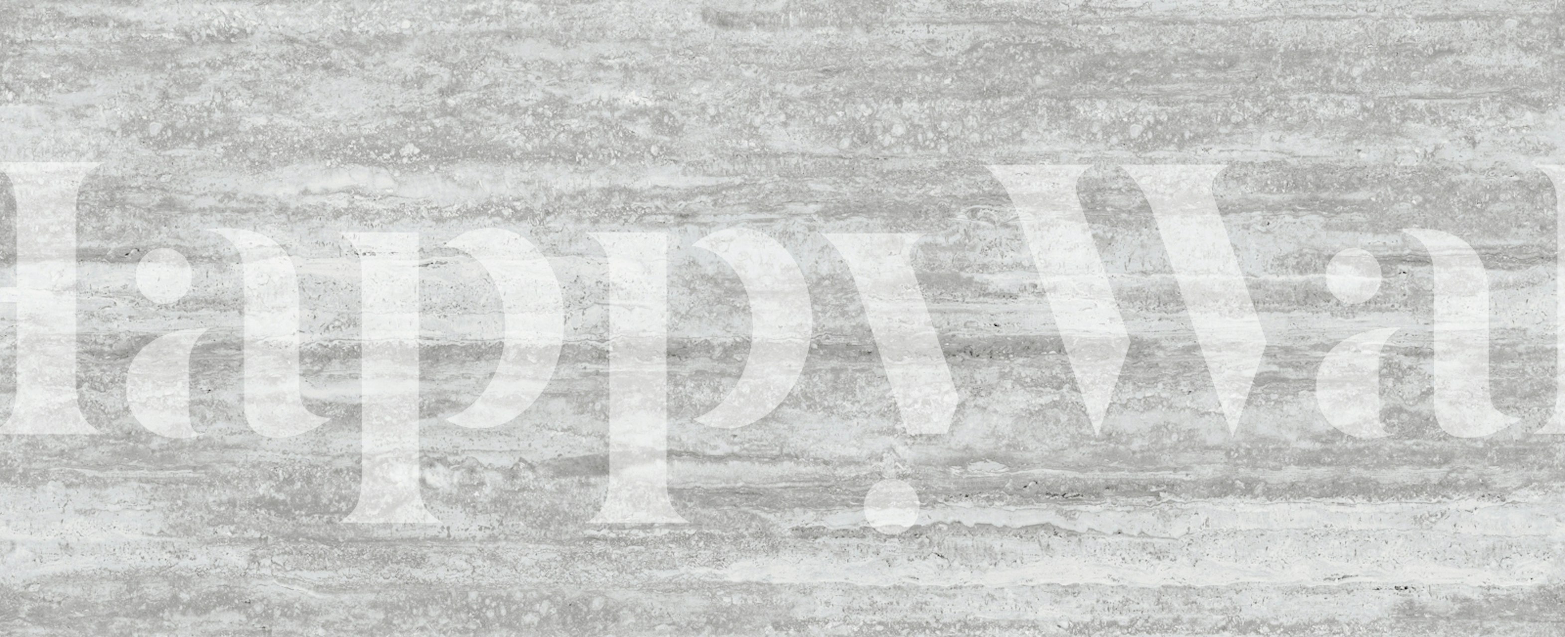 Silver Ash Travertine Marble Stone papel pintado