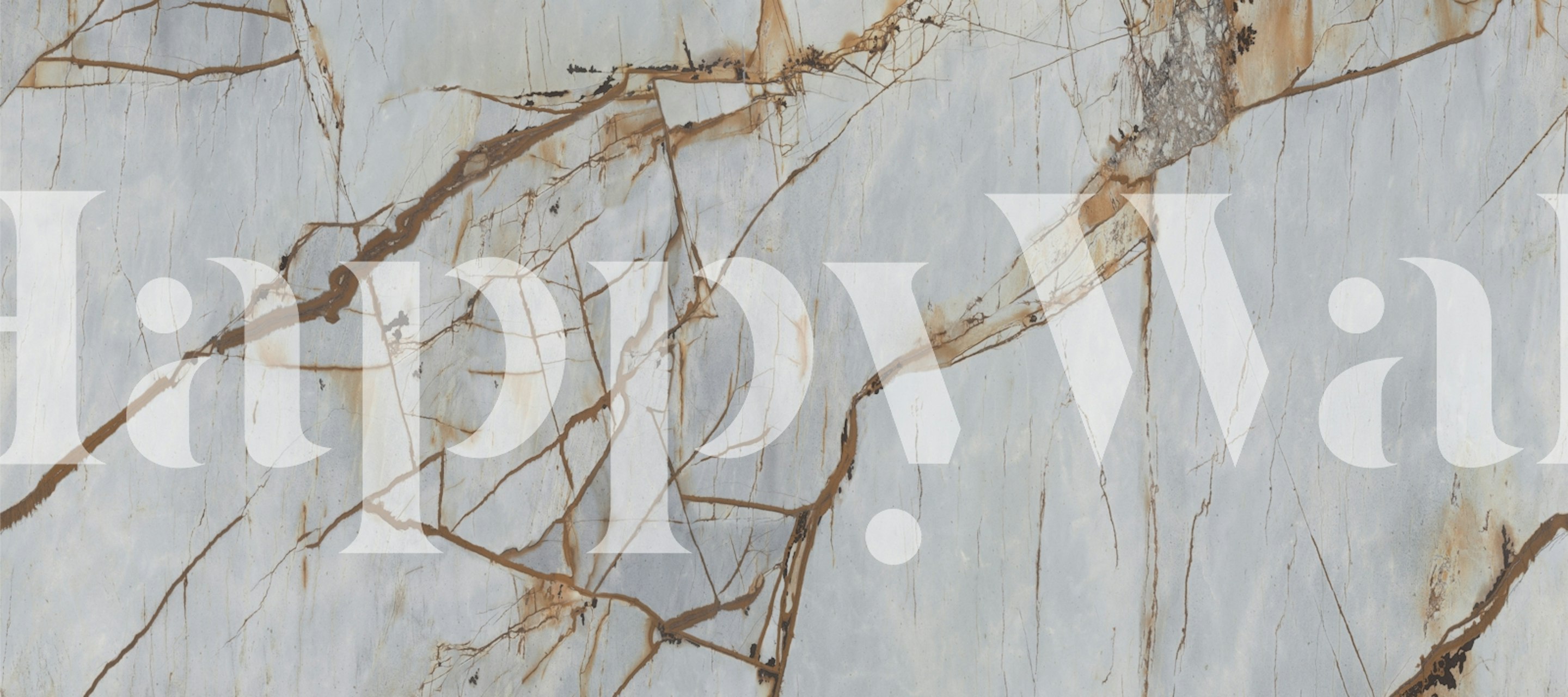 Gray Rustic Metalic Stone tapetit