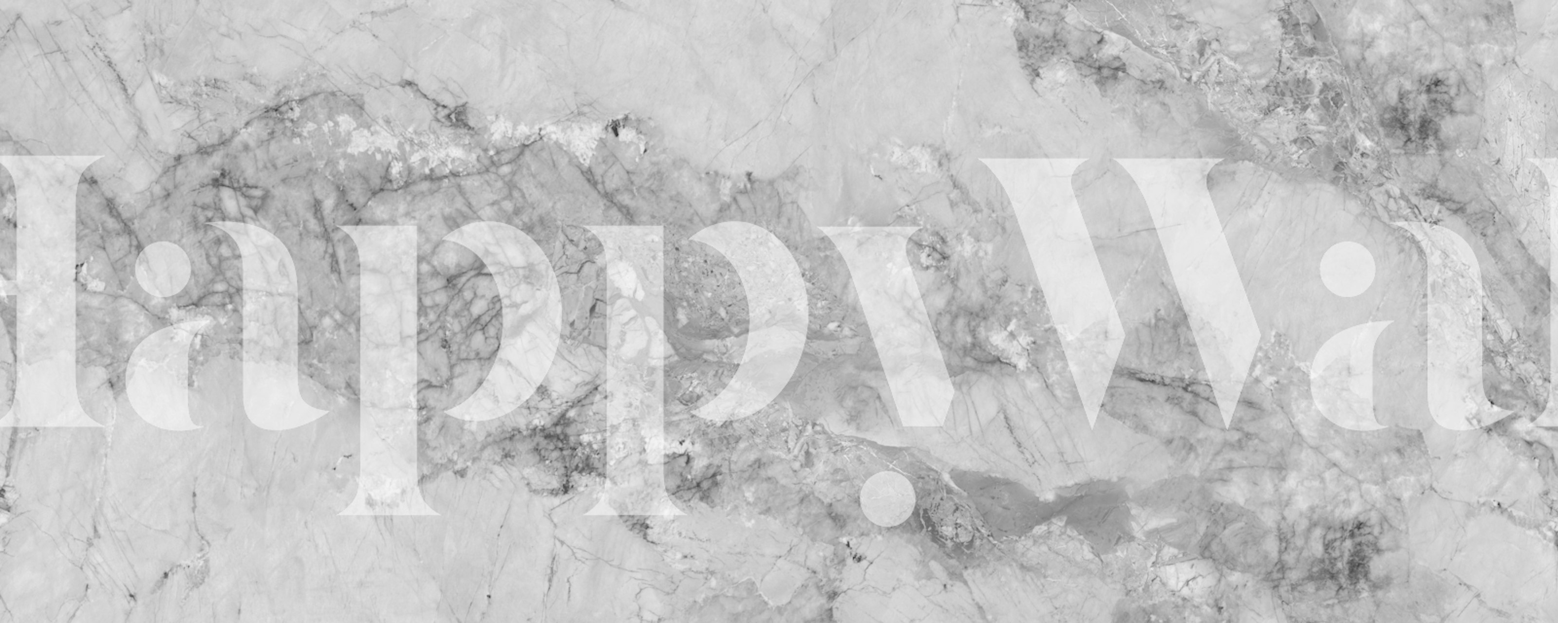 Silver Sandstone Marble tapetit