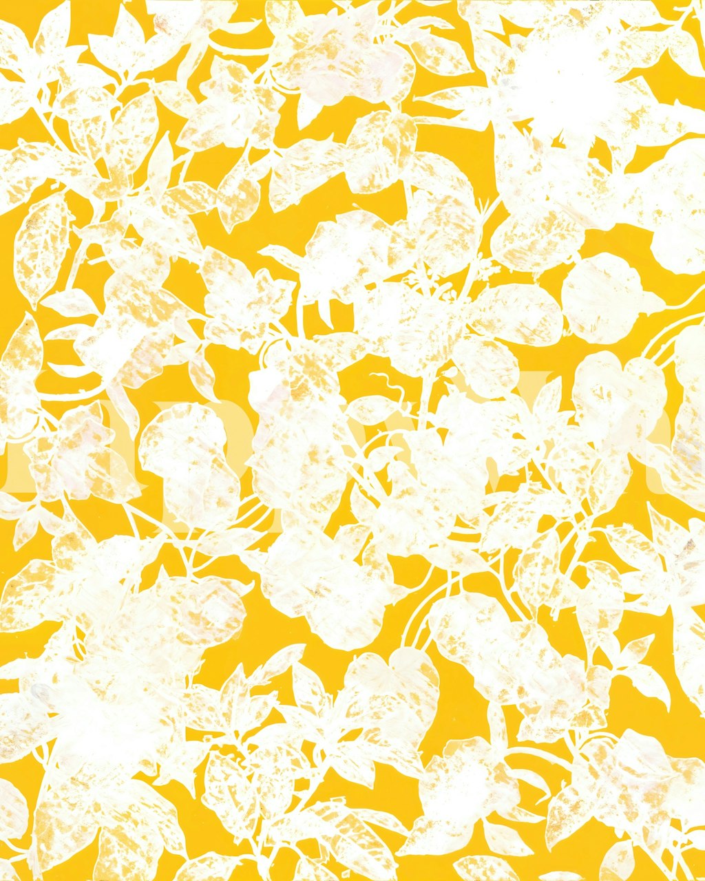 Solaria wallpaper in a bright room