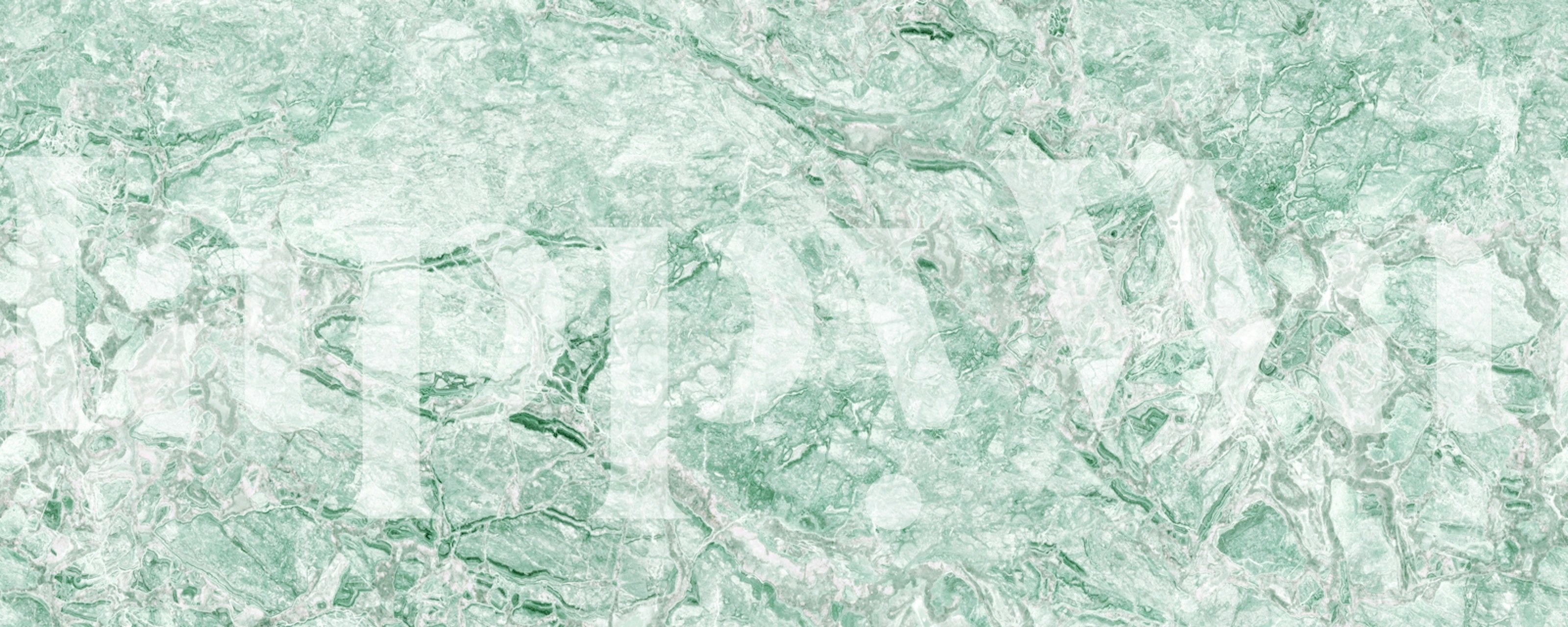 Verde Imperial Breccia Marble tapetti huoneessa