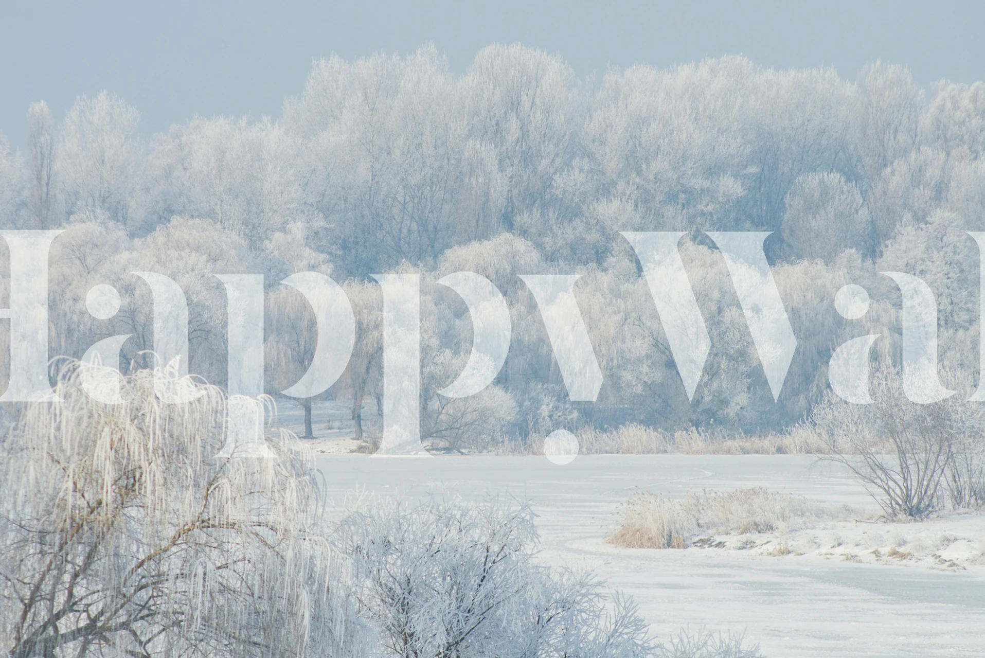 Charming Frosty Forest View tapeta w pokoju