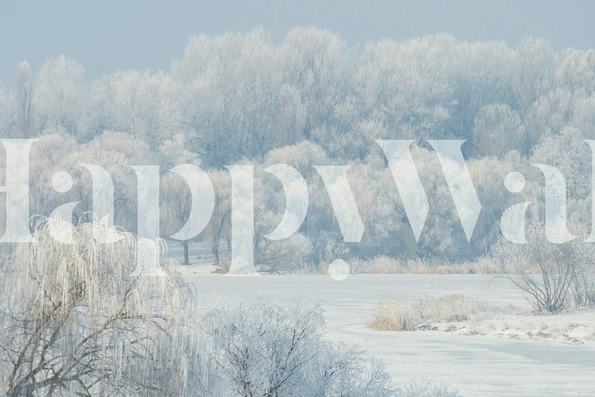 Frosty forest view wallpaper in a room