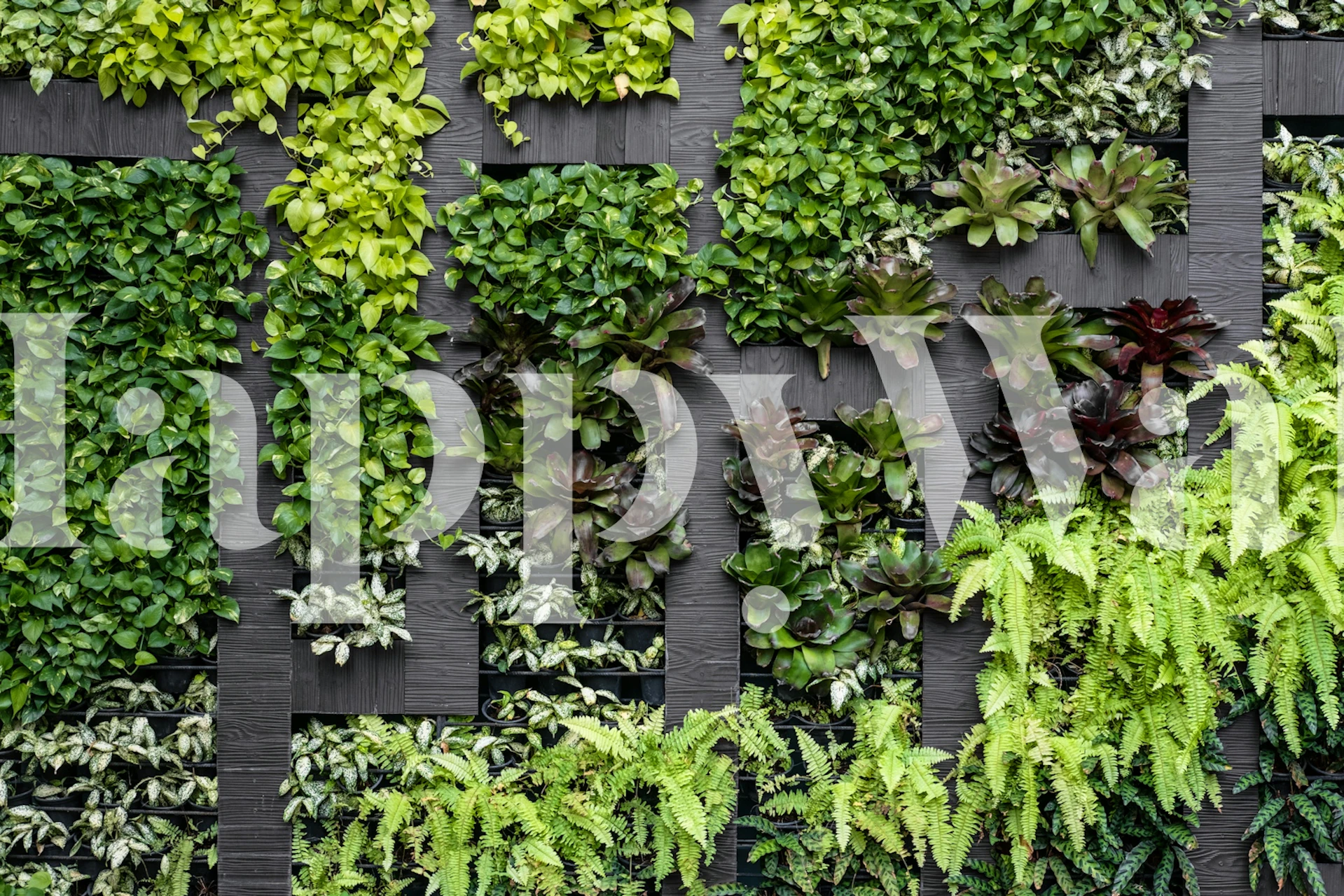 Lush Vertical Garden tapet i et rom