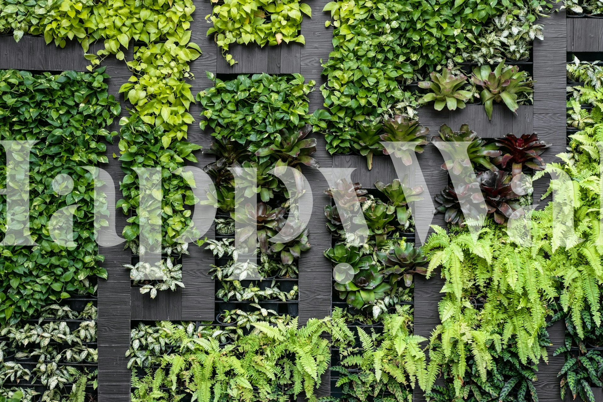 Tapeta Lush Vertical Garden w pokoju