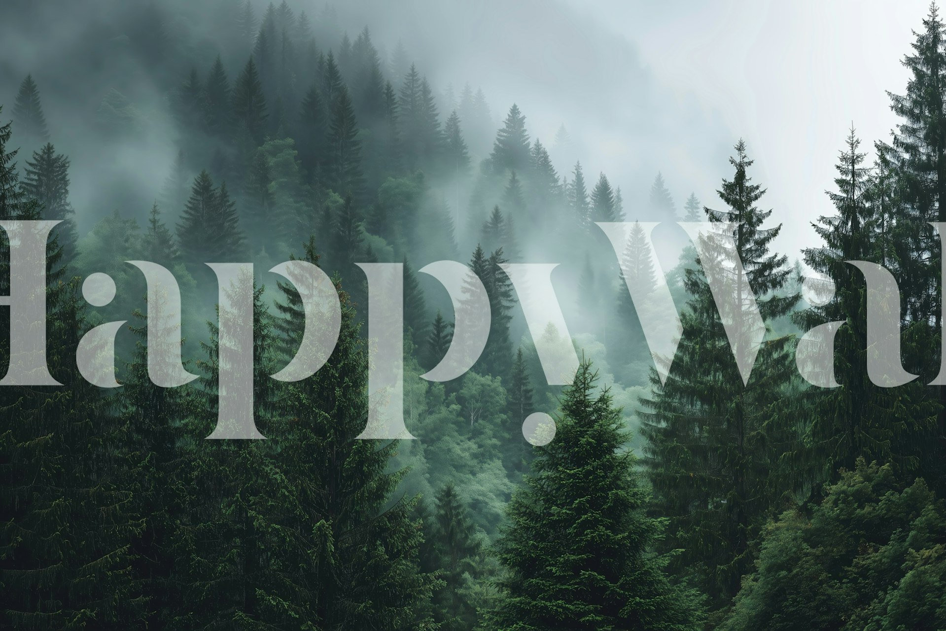 Tapeta Misty Evergreen Forest u sobi