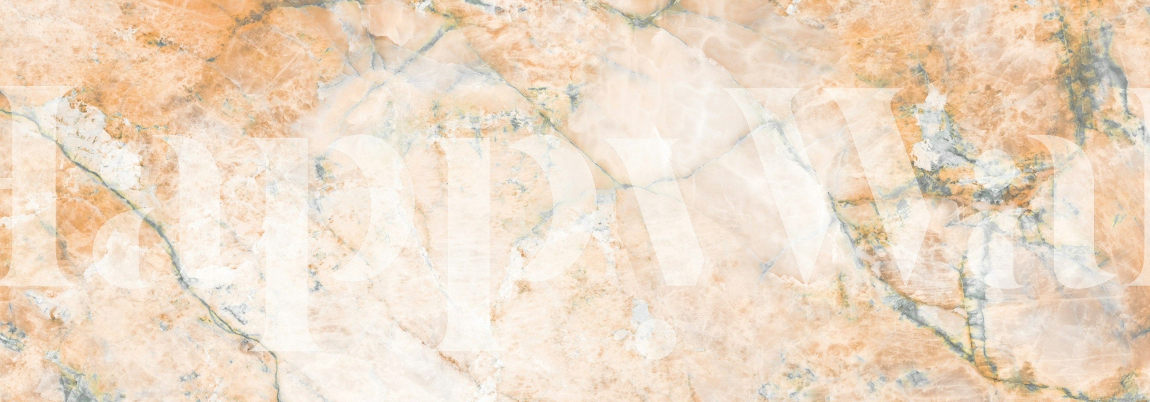 Champagne Opal Stone behang in een kamer