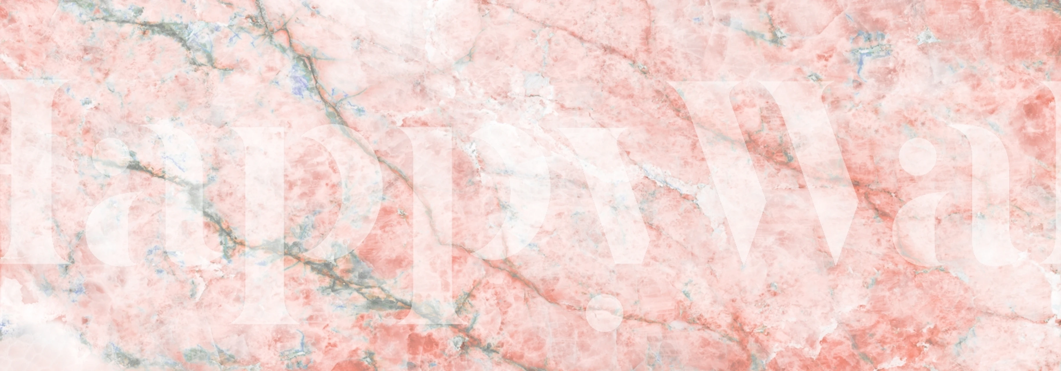 Rose Quartz Blush Onyx Marble tapet i et rom