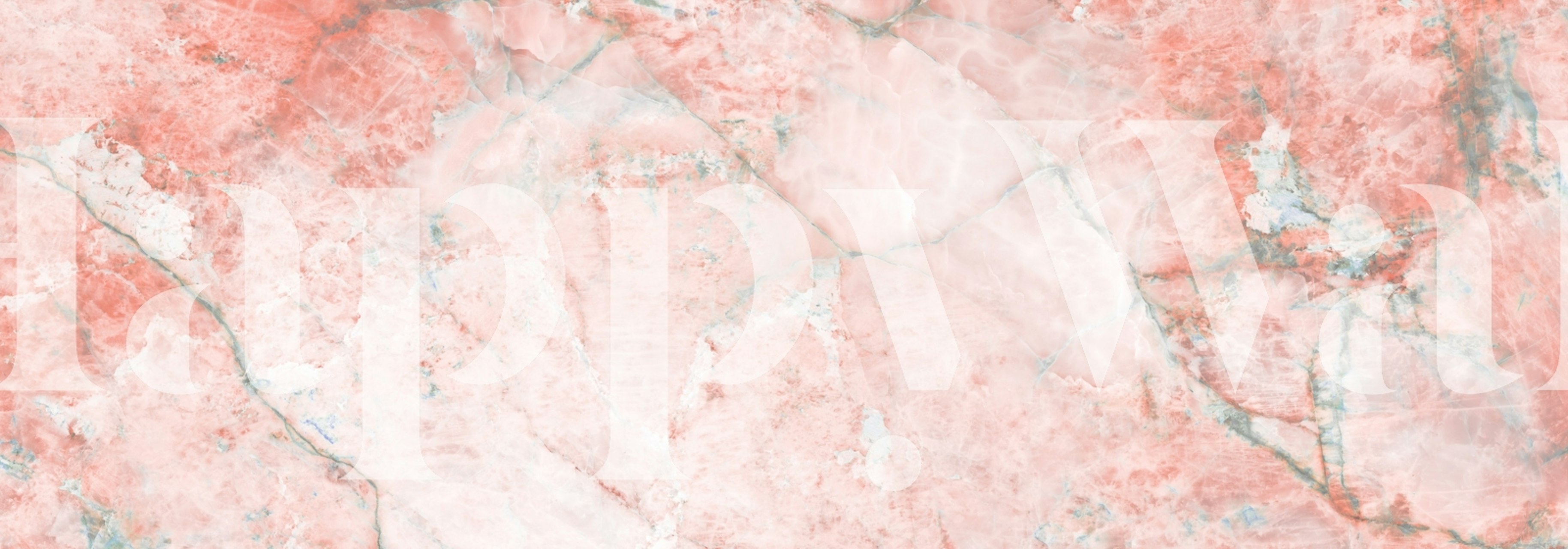 Papier peint Blush Crystal Onyx Marble dans une pièce