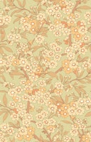 Blossoming Branch Peach Orange tapete