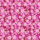 Vivid Pink Floral Delight