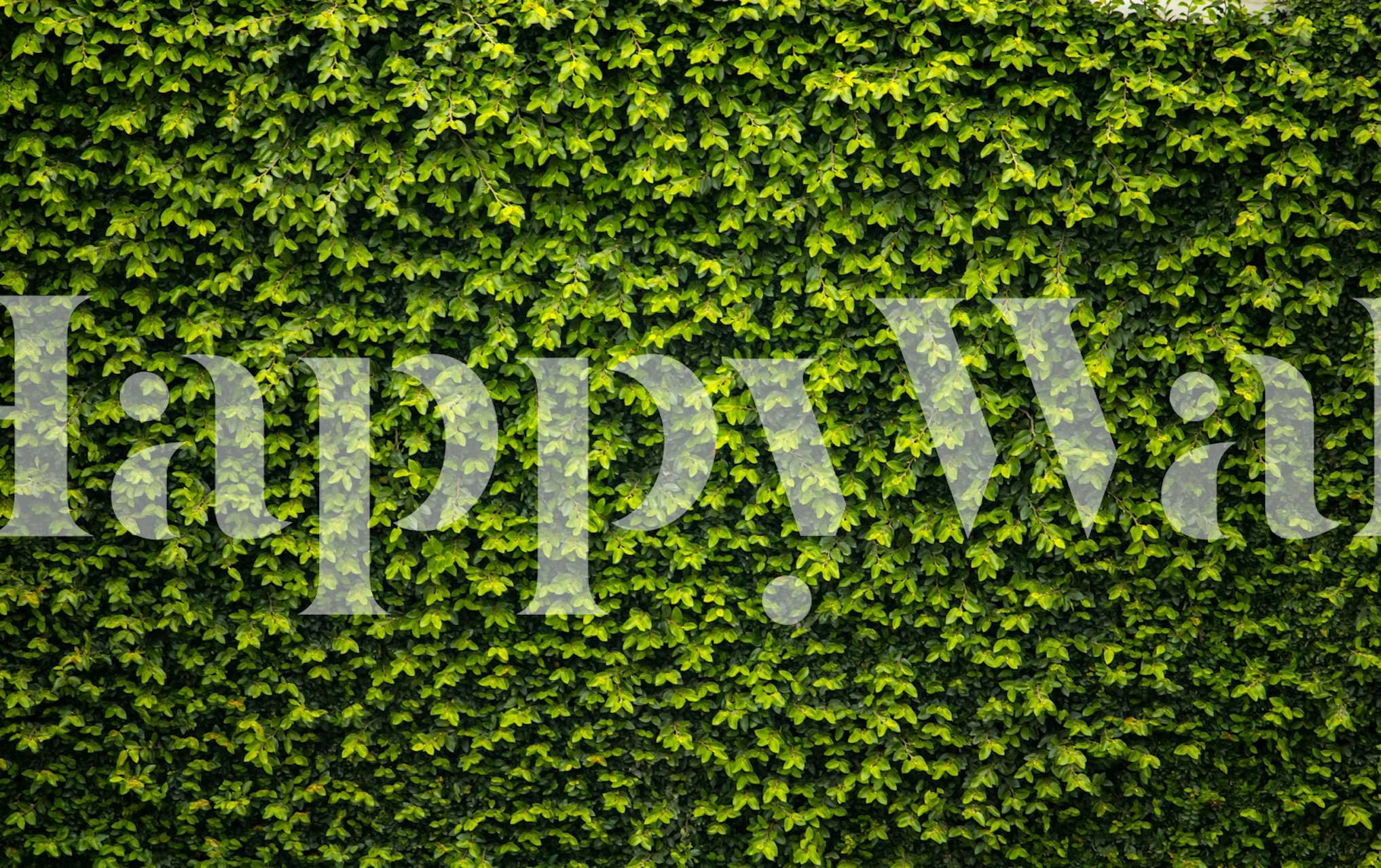 Vibrant Green Foliage tapeta u sobi