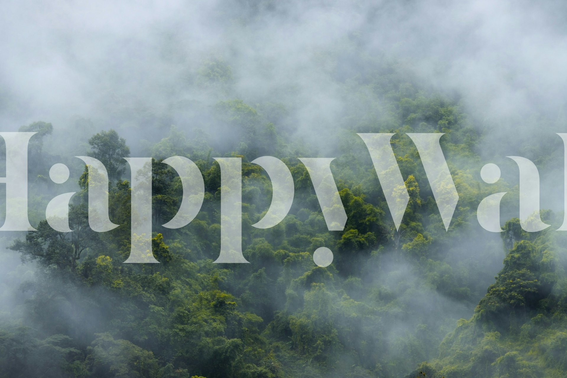 Lush green trees in misty jungle landscape wallpaper