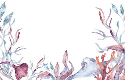 Τοιχογραφία