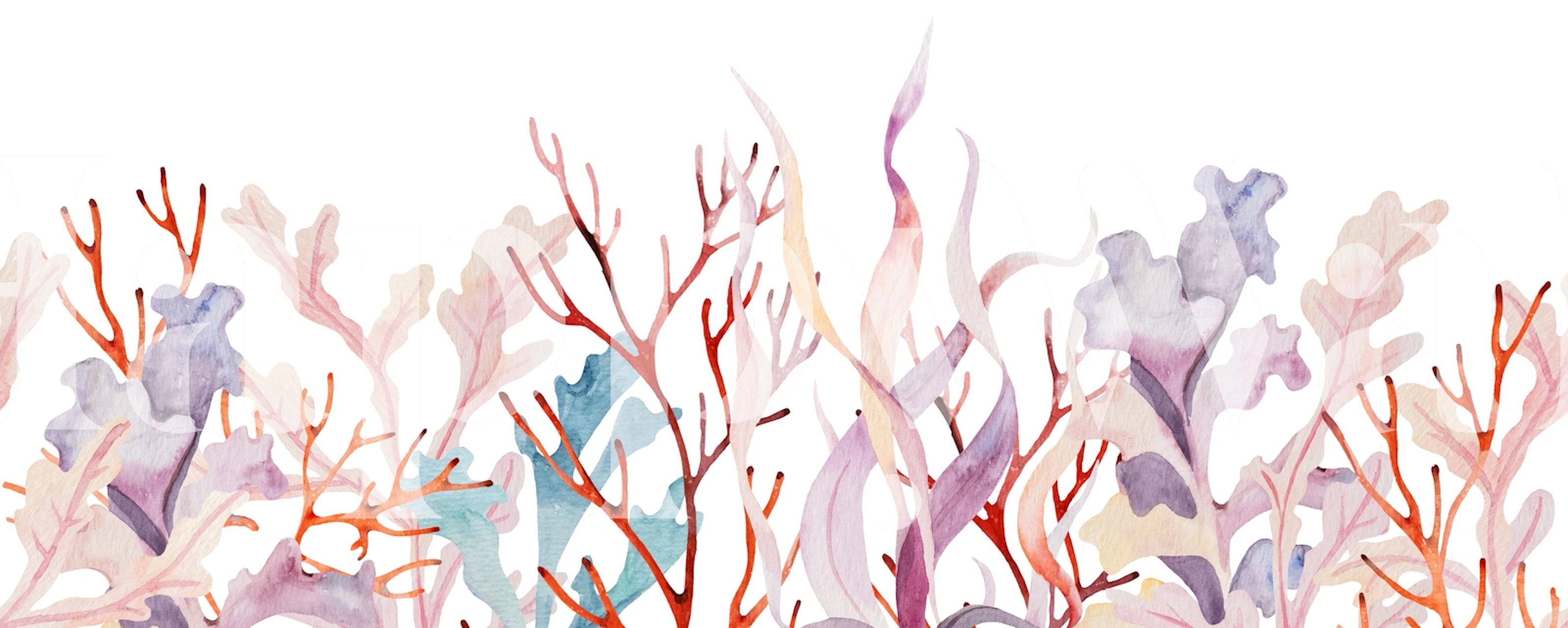 Pastel coral reef design with soft colors and organic shapes wallpaper