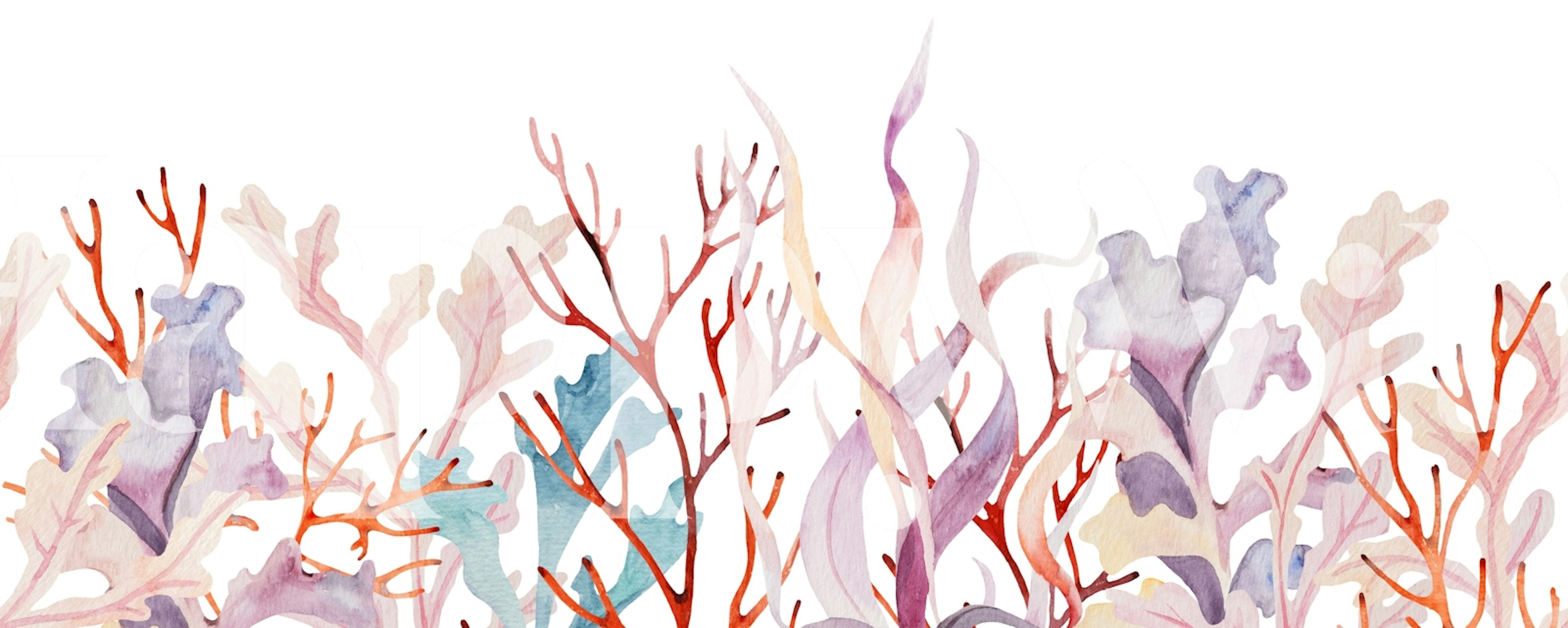 Tapeta Pastel Coral Reef Design zaprezentowana w pokoju