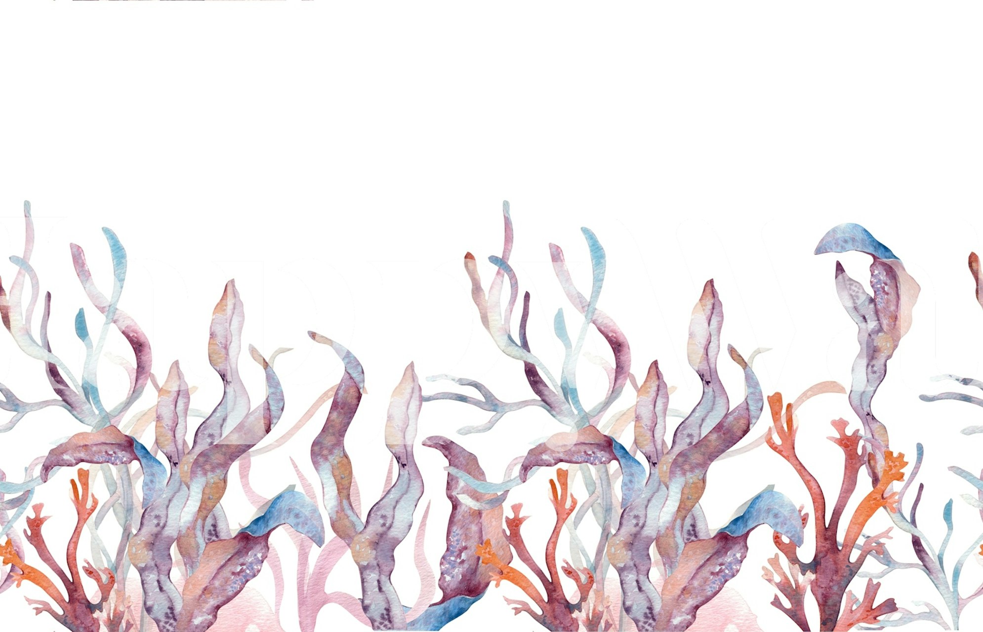 Coral Reef Oasis wallpaper in a room