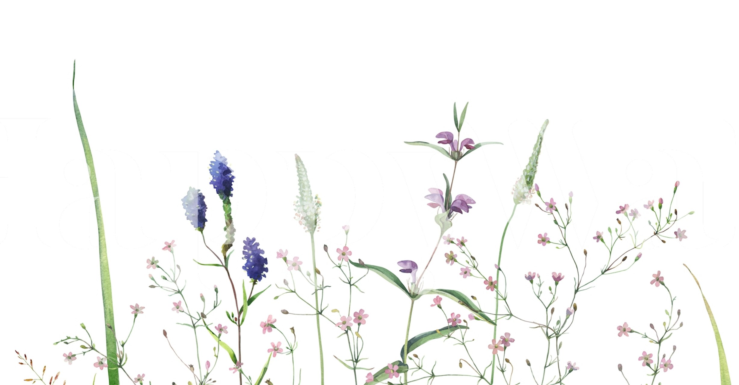 Papier peint floral Garden Serenity dans une pièce