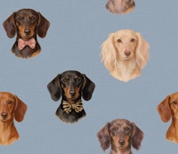 Dachshund Portraits Blue papiers peint