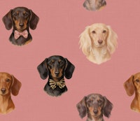 Dachshund Portraits Pink papiers peint